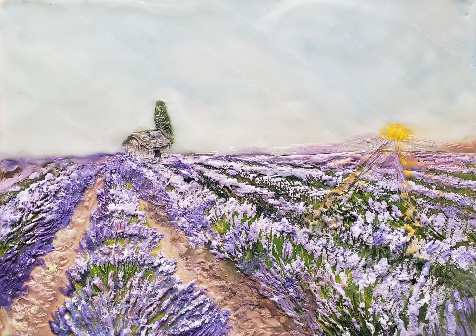 Lavender Field