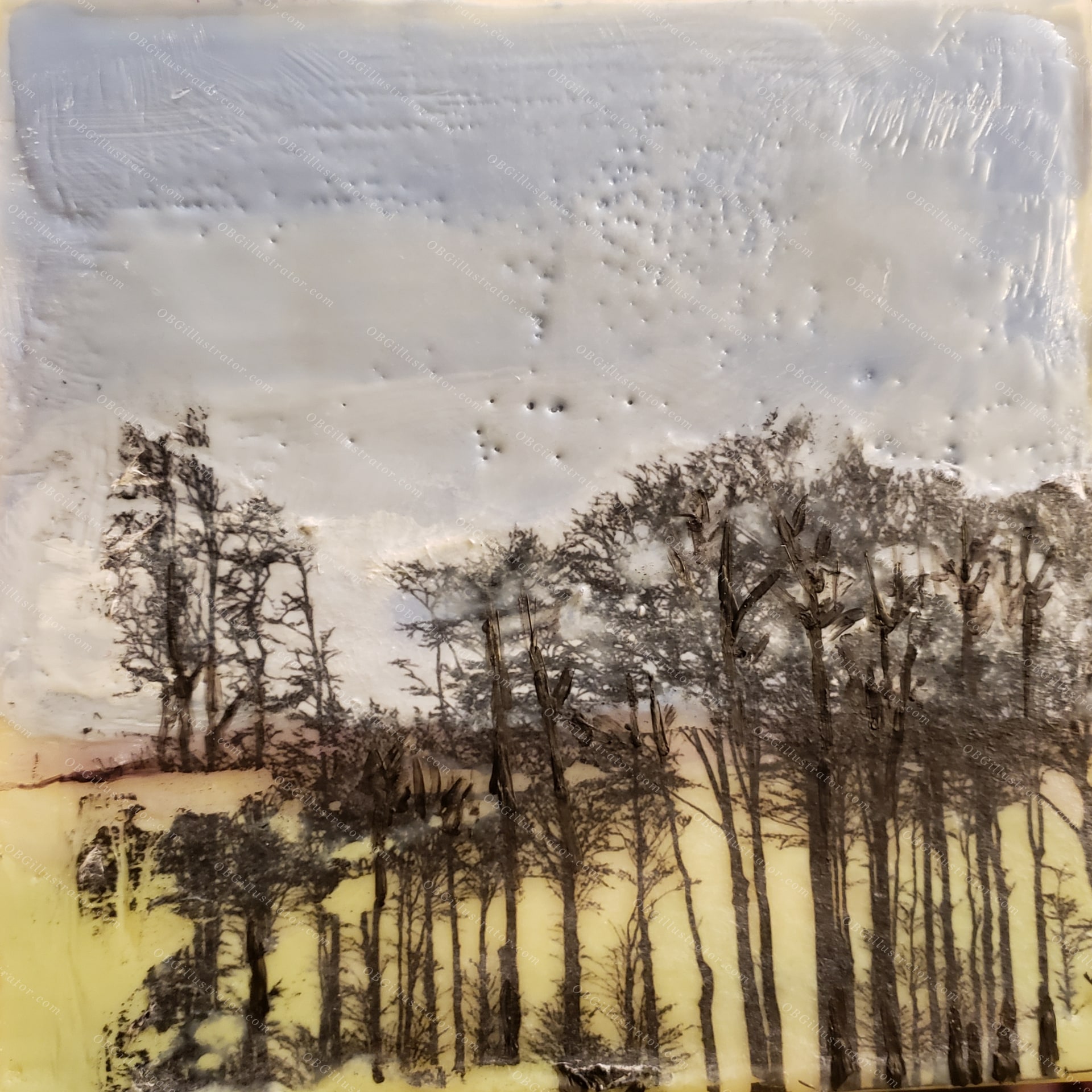 Reflected Trees