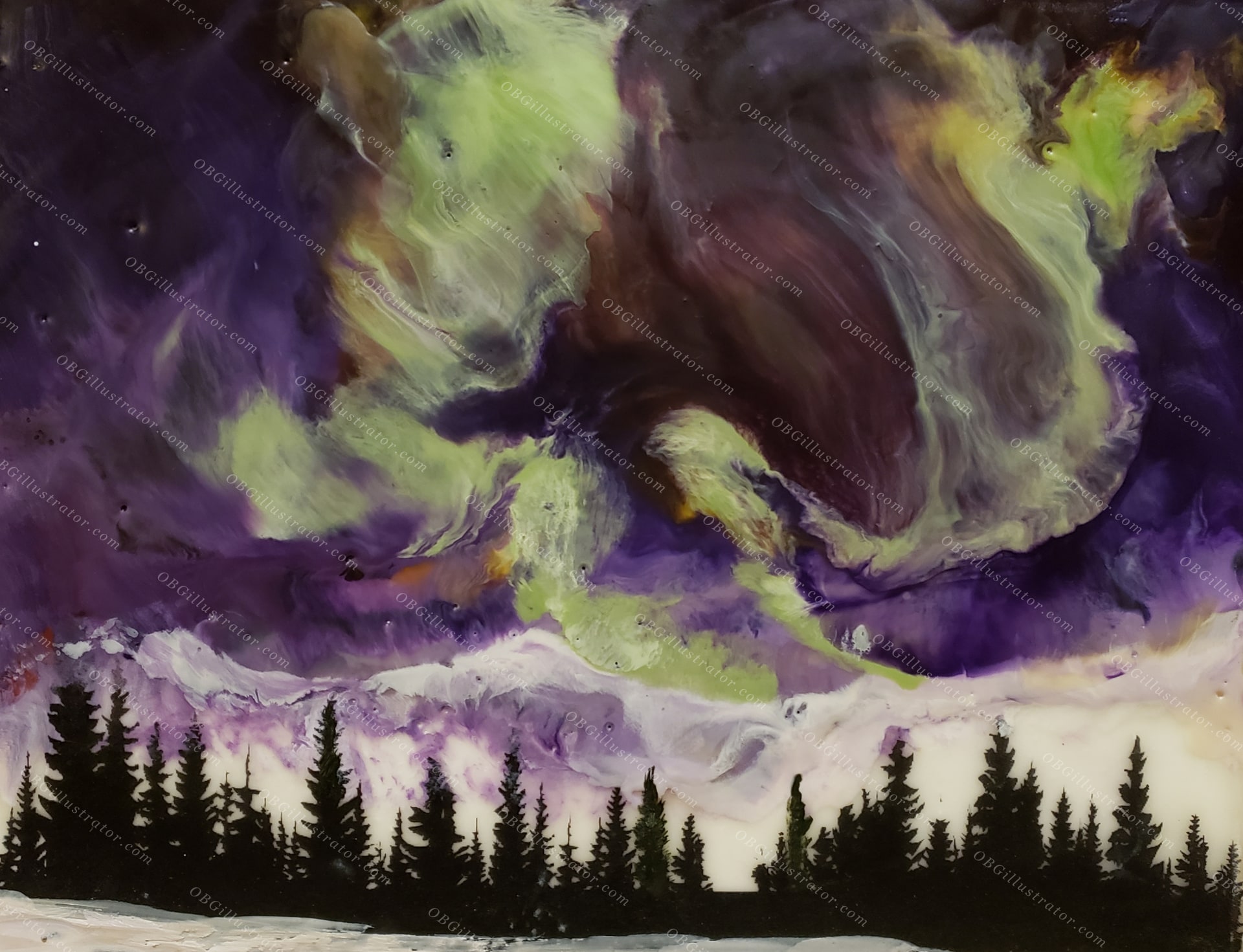 Stella Aurora