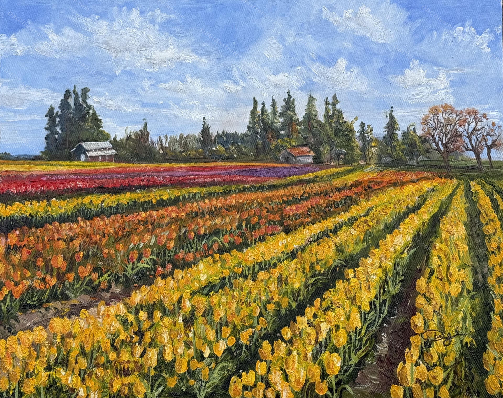 Wooden Shoe Tulip Festival