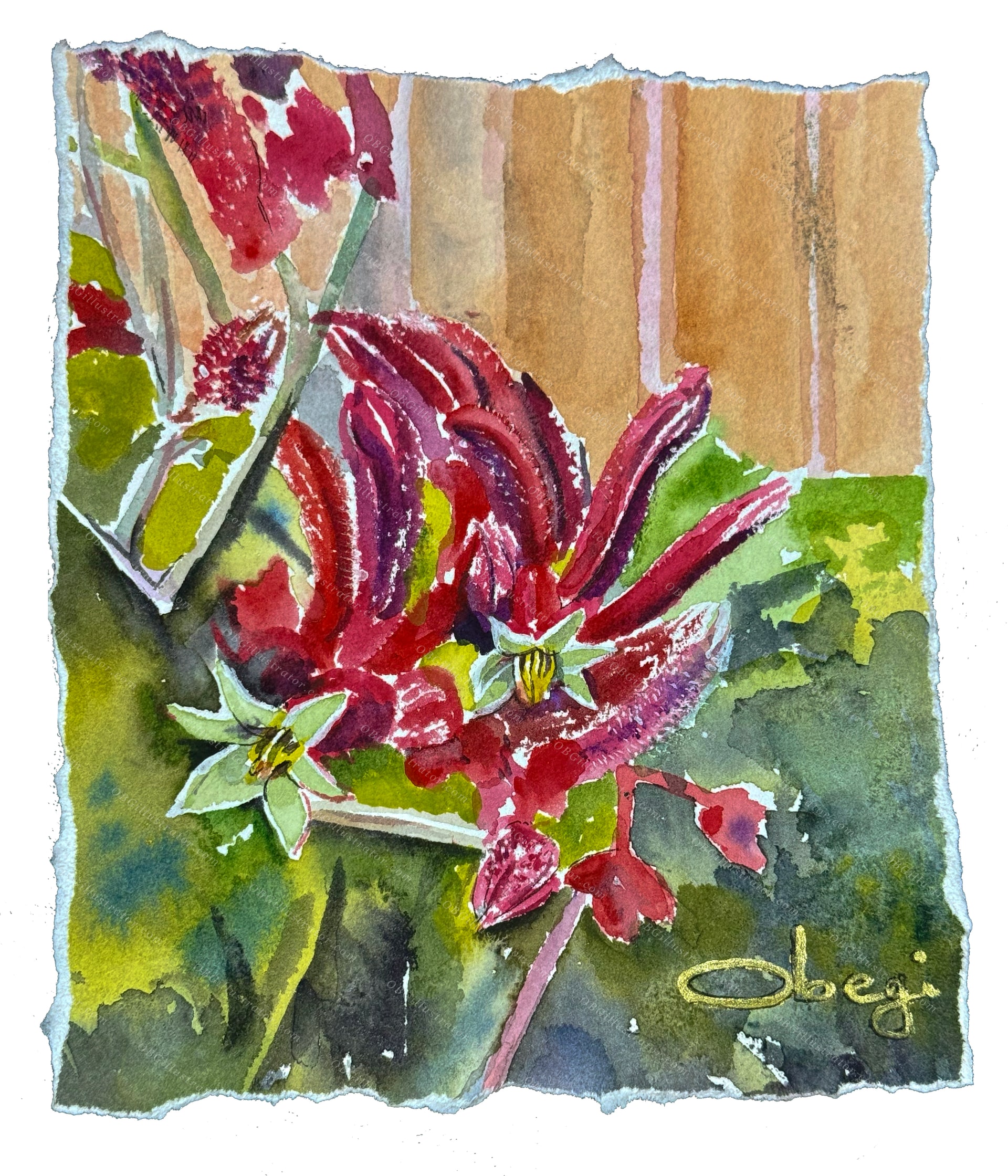 Flame Lily Radiance