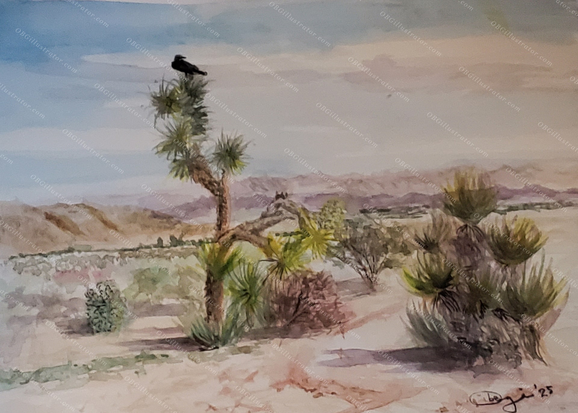 Sentinel of the High Desert