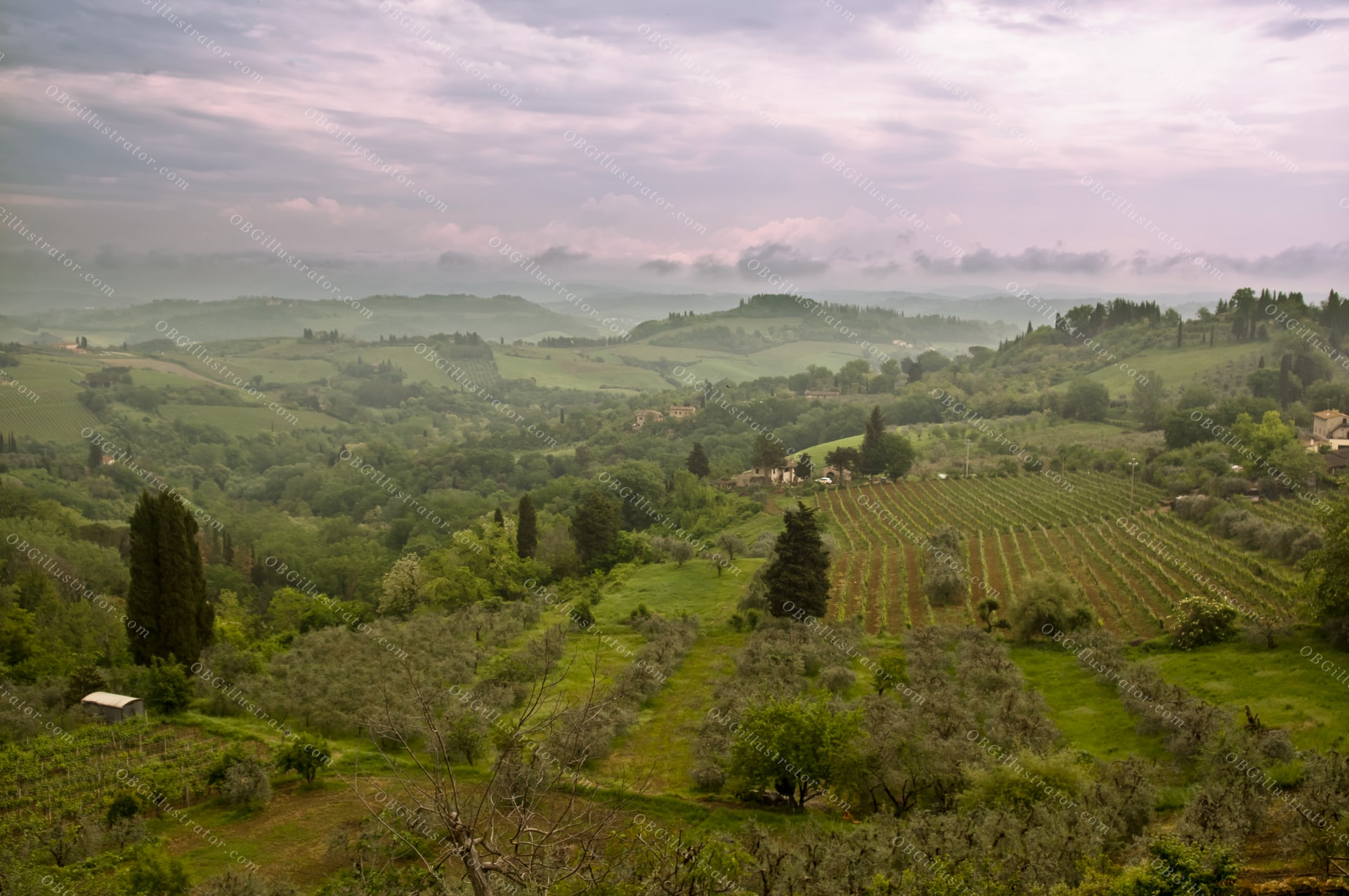 Mists Of Tuscany